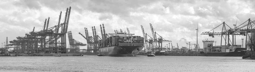 Containerterminal met portaalkranen en een containerschip aan de kade, in zwart-wit